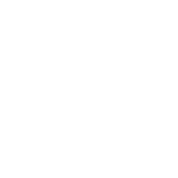 Car crash icon